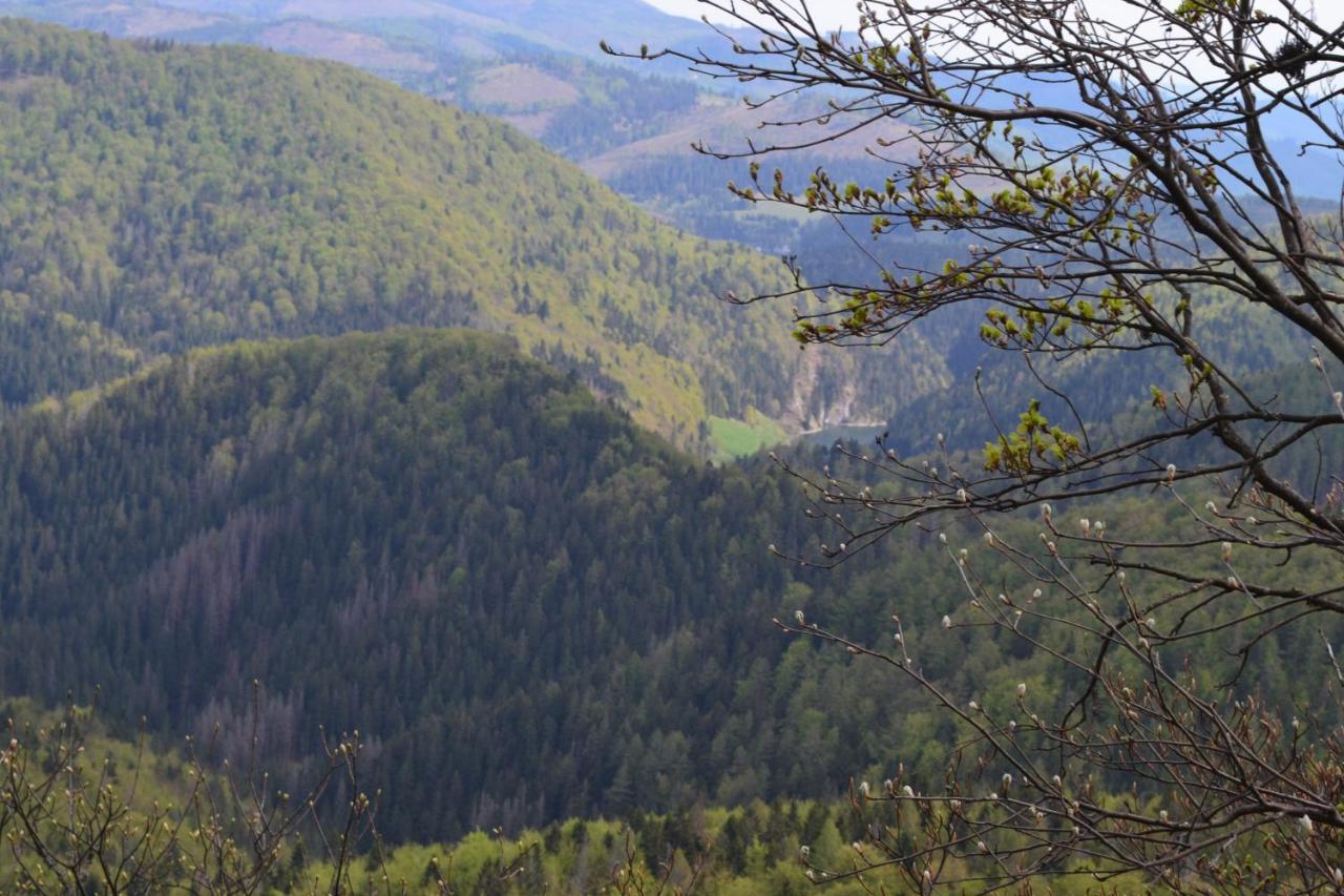 Penzion Thamasy Spisske Tomasovce Exterior photo